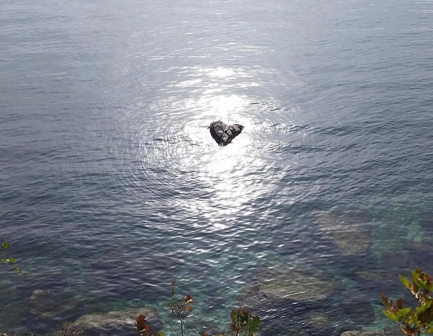 Villa Belissima Vista Mare Selce Croatia